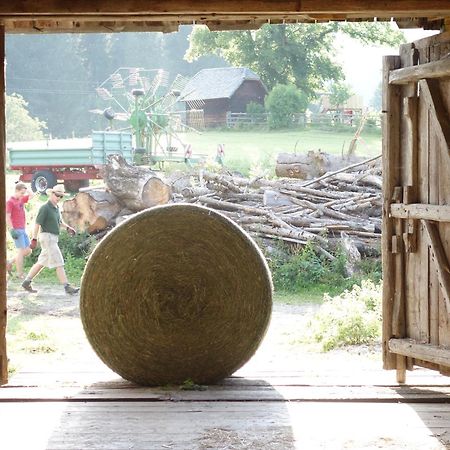 Urlaub Am Bio-Bauernhof Liebchen Villa Zeutschach Екстериор снимка