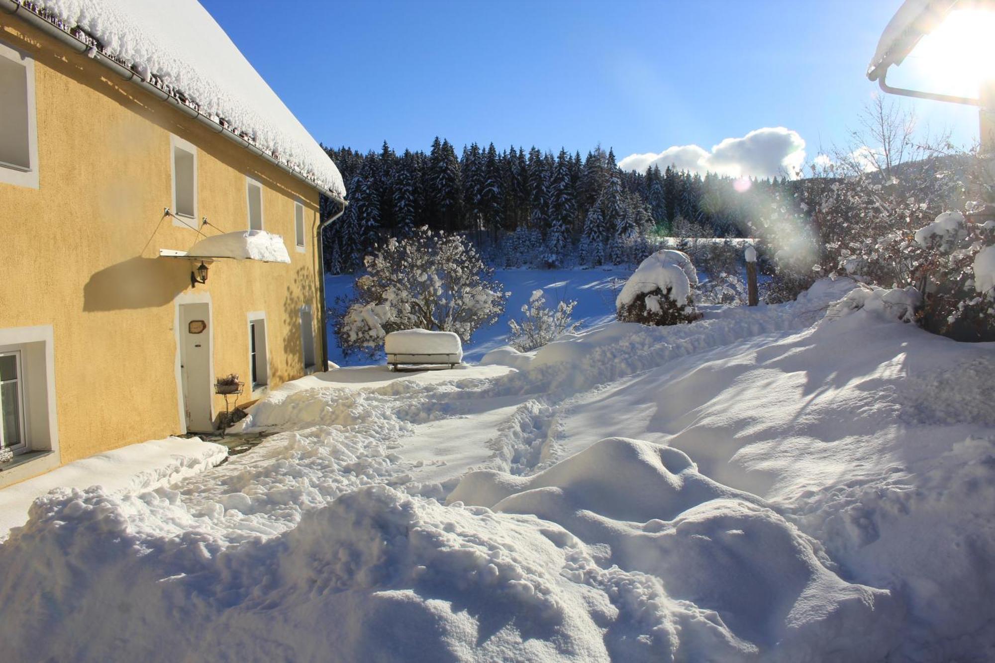 Urlaub Am Bio-Bauernhof Liebchen Villa Zeutschach Екстериор снимка