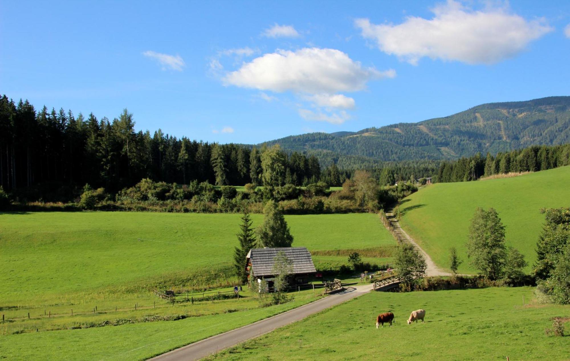 Urlaub Am Bio-Bauernhof Liebchen Villa Zeutschach Екстериор снимка
