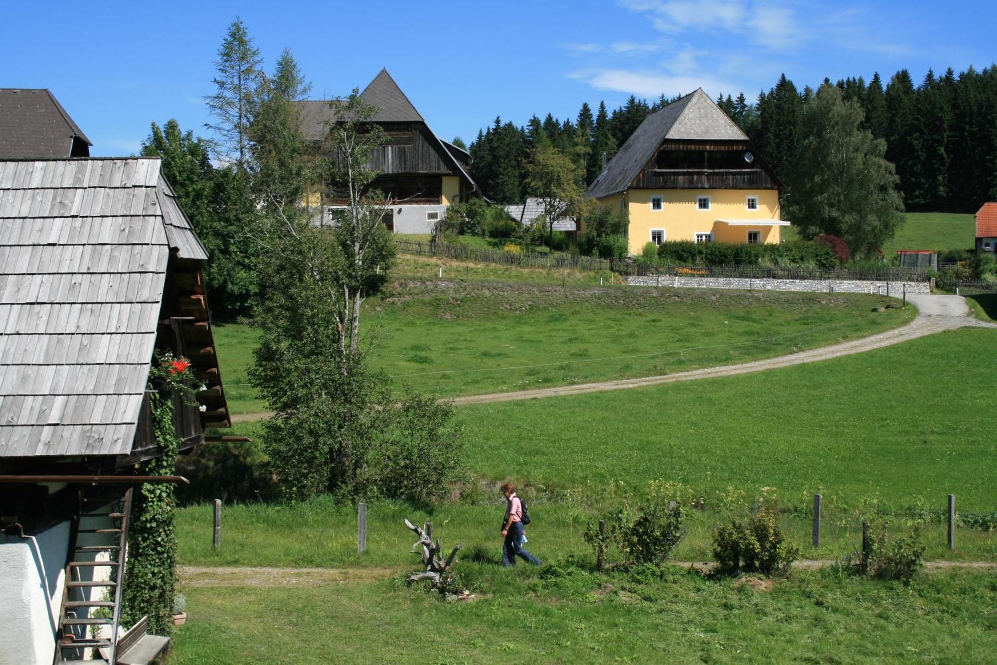 Urlaub Am Bio-Bauernhof Liebchen Villa Zeutschach Екстериор снимка