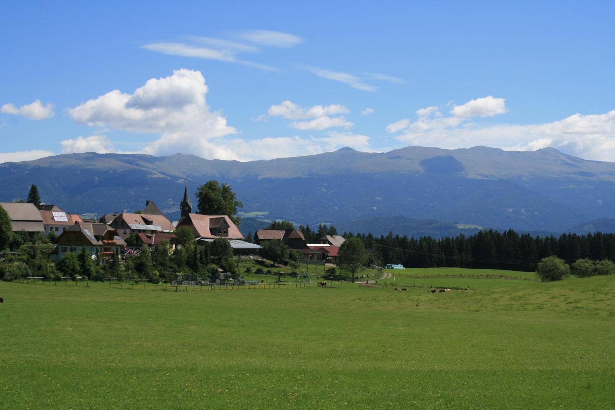 Urlaub Am Bio-Bauernhof Liebchen Villa Zeutschach Екстериор снимка