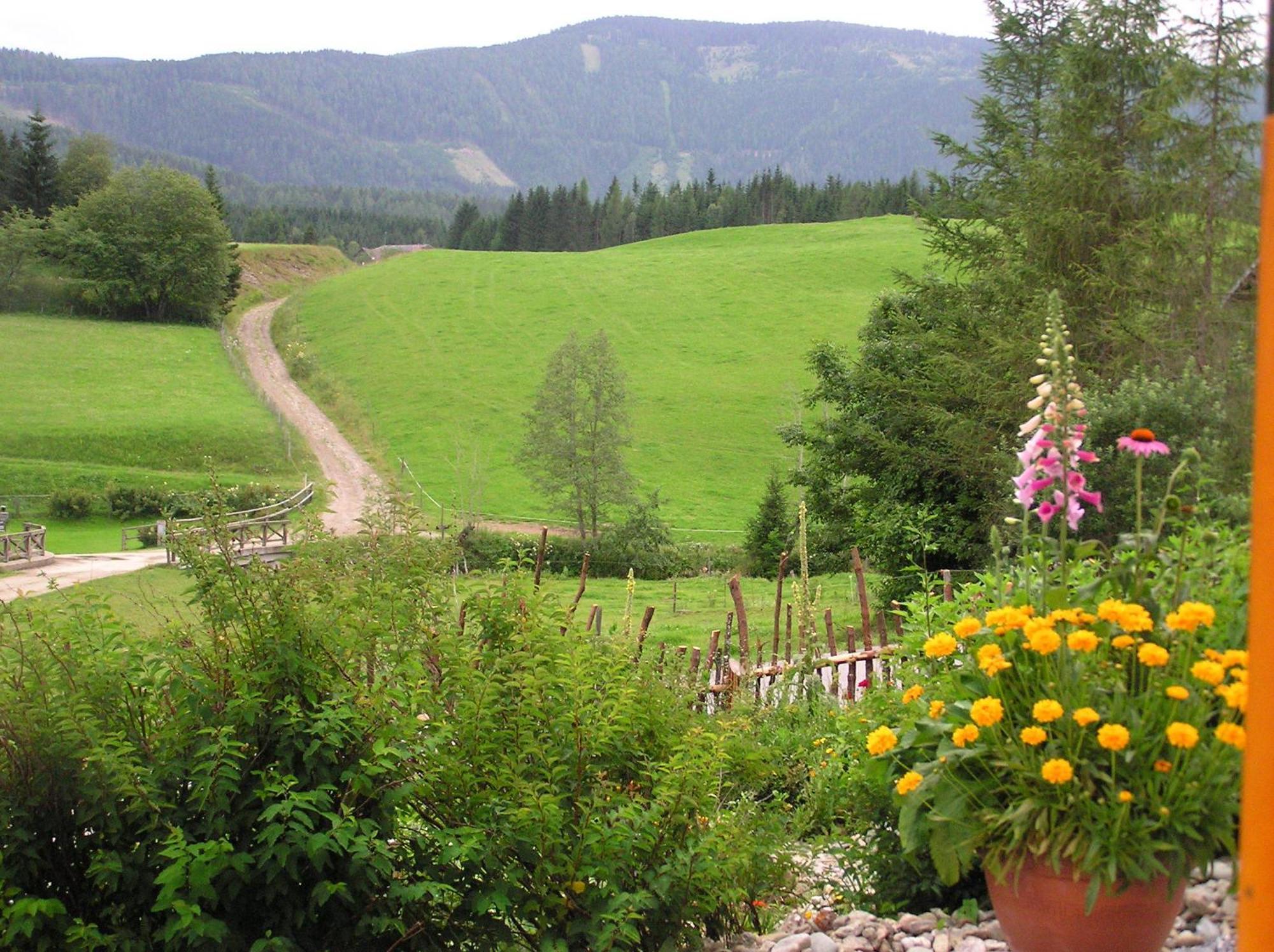 Urlaub Am Bio-Bauernhof Liebchen Villa Zeutschach Екстериор снимка
