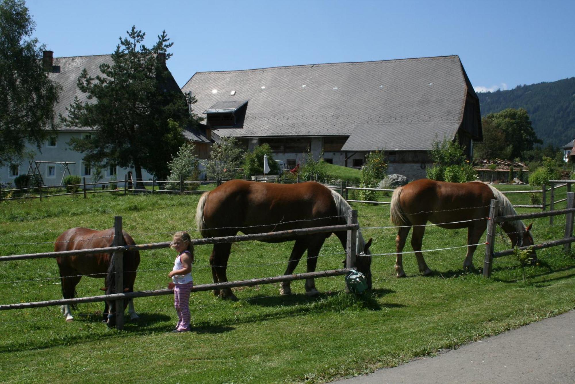 Urlaub Am Bio-Bauernhof Liebchen Villa Zeutschach Екстериор снимка