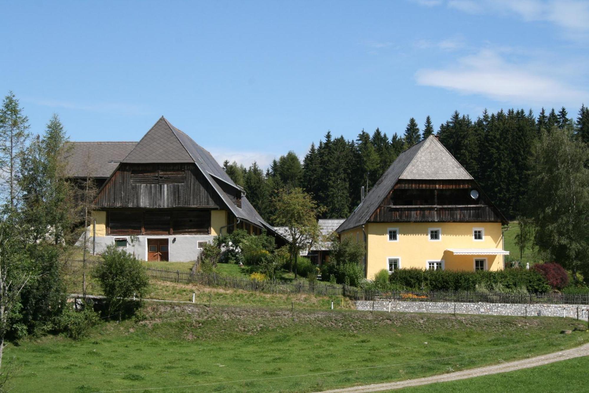 Urlaub Am Bio-Bauernhof Liebchen Villa Zeutschach Екстериор снимка
