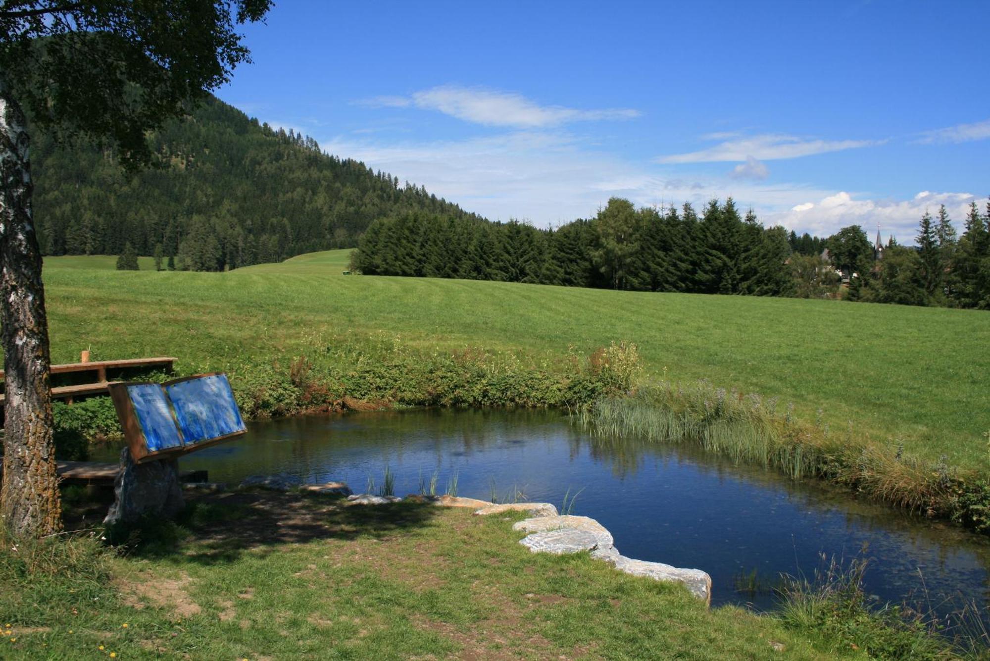 Urlaub Am Bio-Bauernhof Liebchen Villa Zeutschach Екстериор снимка